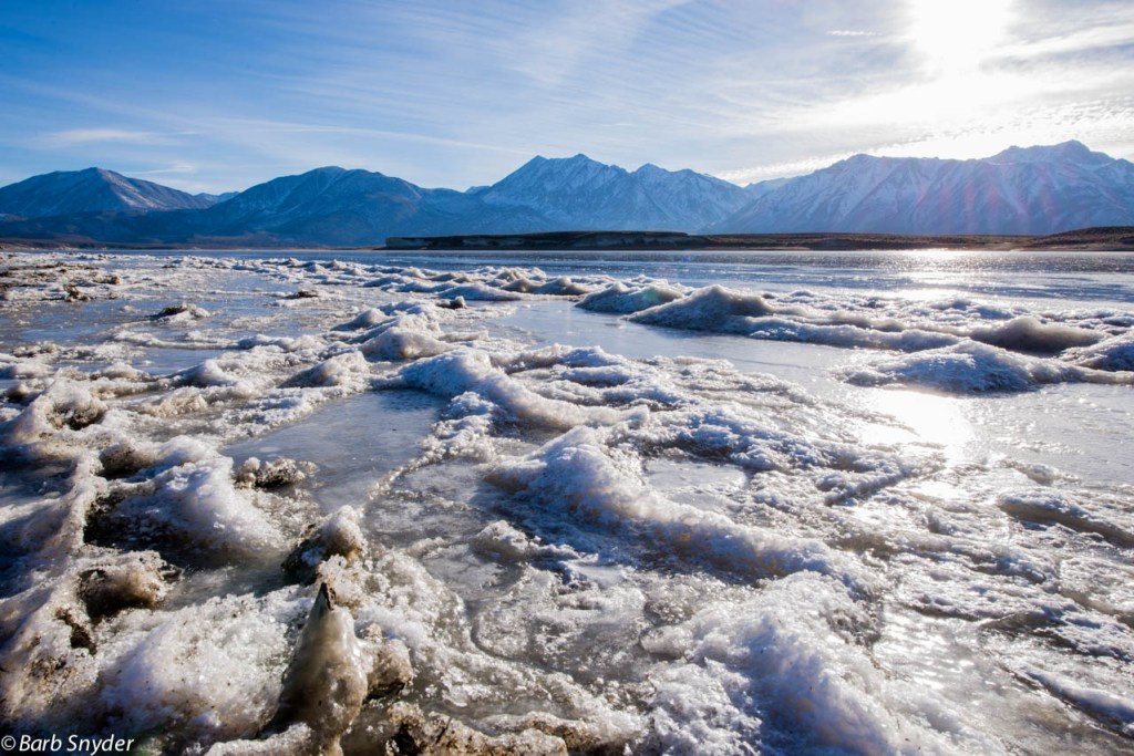 Frozen! Crowley Lake