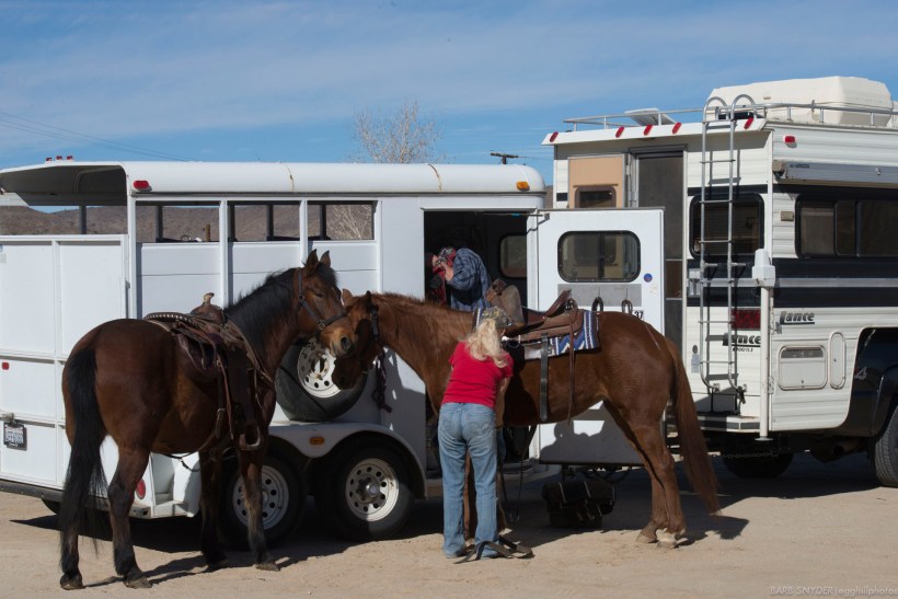 People are allowed to bring their horses and ride through 'Mane Street' to make it feel authentic (watch your step). 