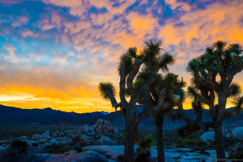 The colors are starting.