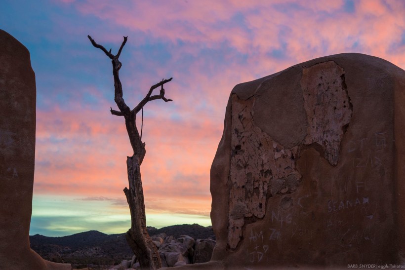 My last shot of a good day, but . . .