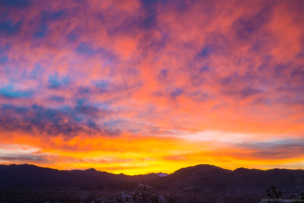 Joshua Tree National Park – Day Two