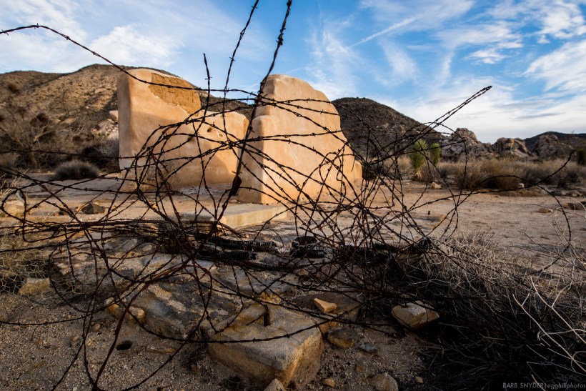 Remember all those cowboy movies with fights over barbed wire? Remnants can be found everywhere in the desert.