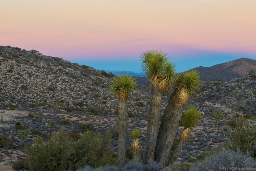 Joshua Tree National Park, California – Day&nbsp;One