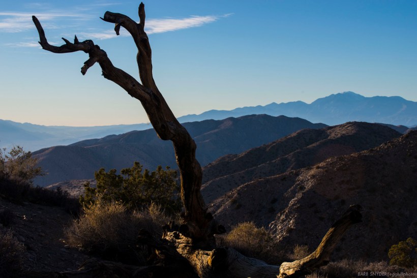 Keyes Point - a popular sunset area in the park.