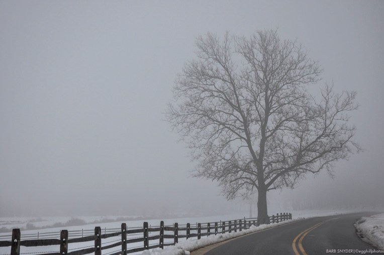Little Elk Creek Road