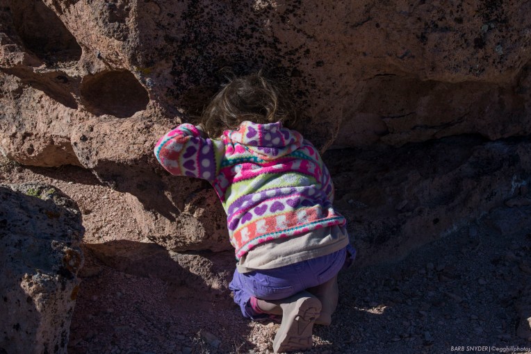 My granddaughter was more interested in the pack-rat homes!