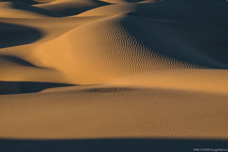 The curves of the dunes remind me of reclining nudes!
