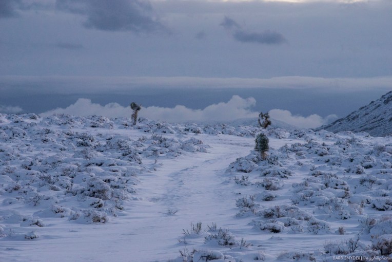 Pre-dawn light, bitter cold.