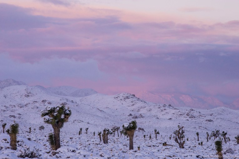 Pink skies heralded the dawn.