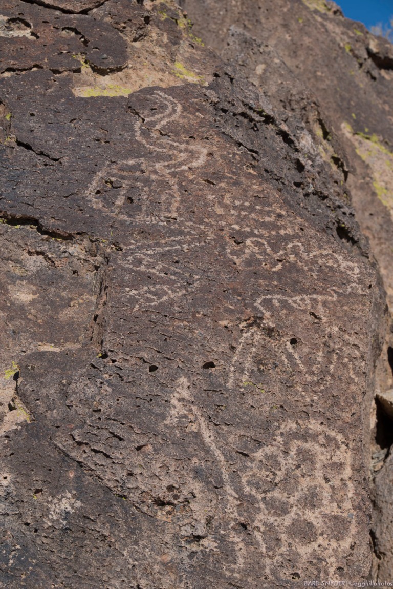 My friend Maggie is a keeper of the petroglyphs, checking them periodically. She invited me along!