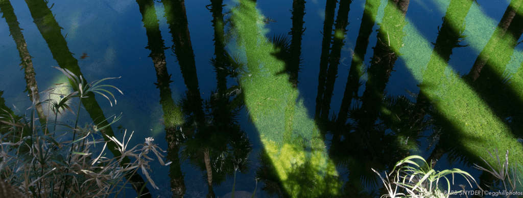 Death Valley – Day&nbsp;1