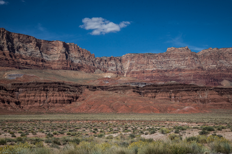 Drive-by Arizona (3 of 11)