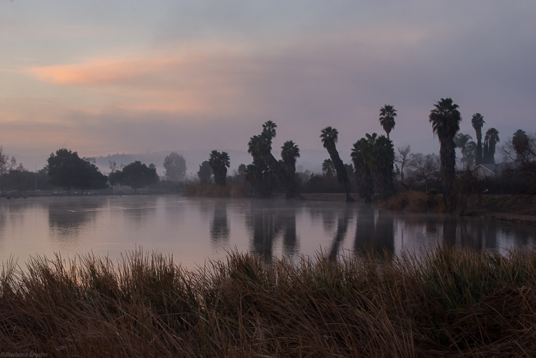 PeacefulMorn (4 of 8)