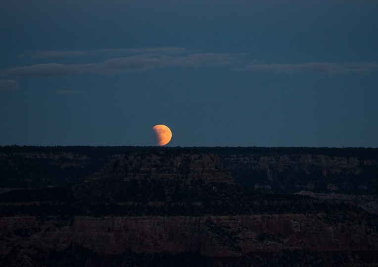 GrCanNRDay2 (1 of 5)