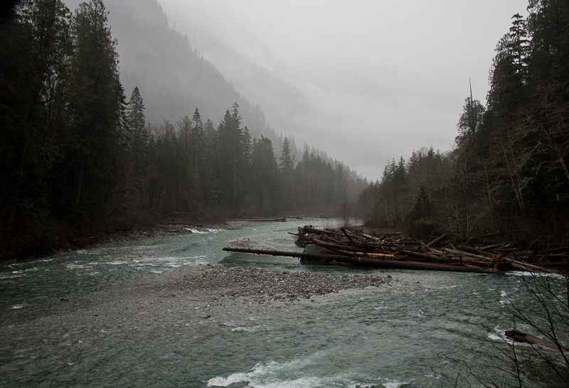 Mt.BakerHike (14 of 21)