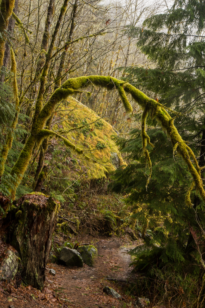 Mt.BakerHike (21 of 21)