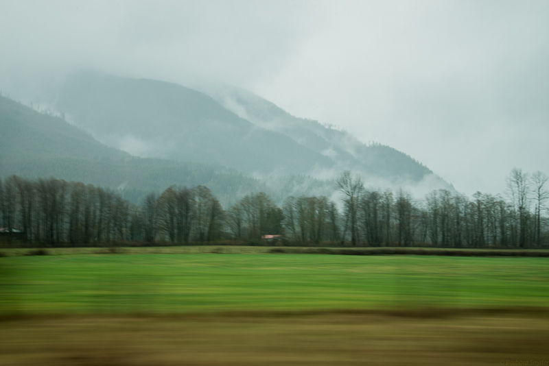 Mt.BakerHike (3 of 21)