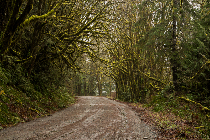 Mt.BakerHike (5 of 21)