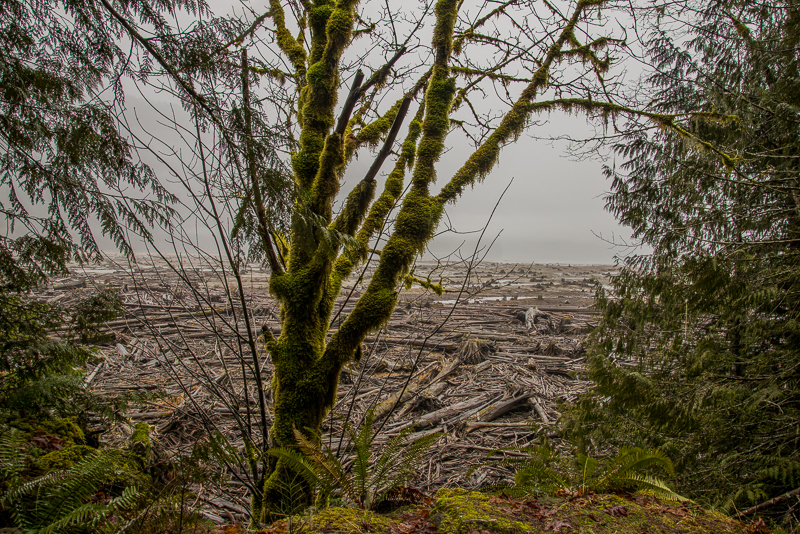 Mt.BakerHike (6 of 21)