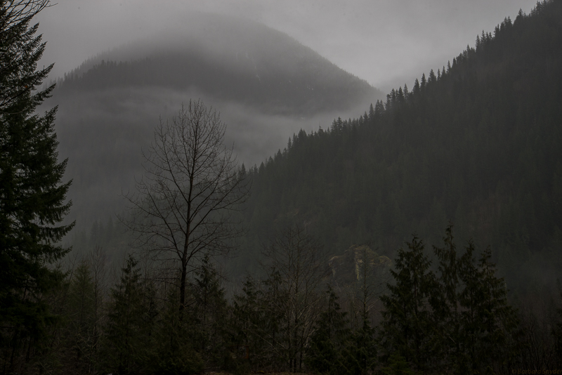 Mt.BakerHike (7 of 21)