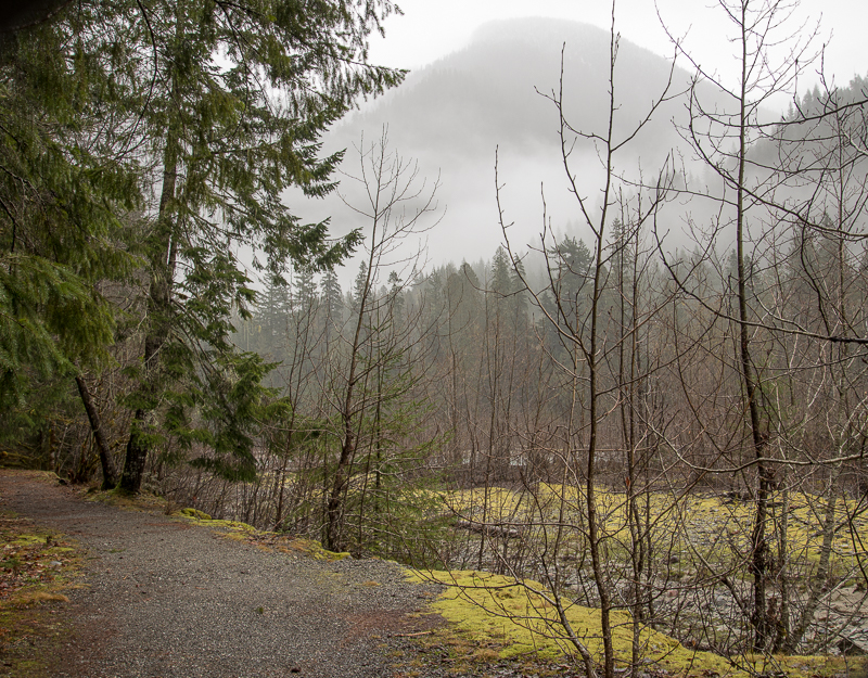 Mt.BakerHike (9 of 21)