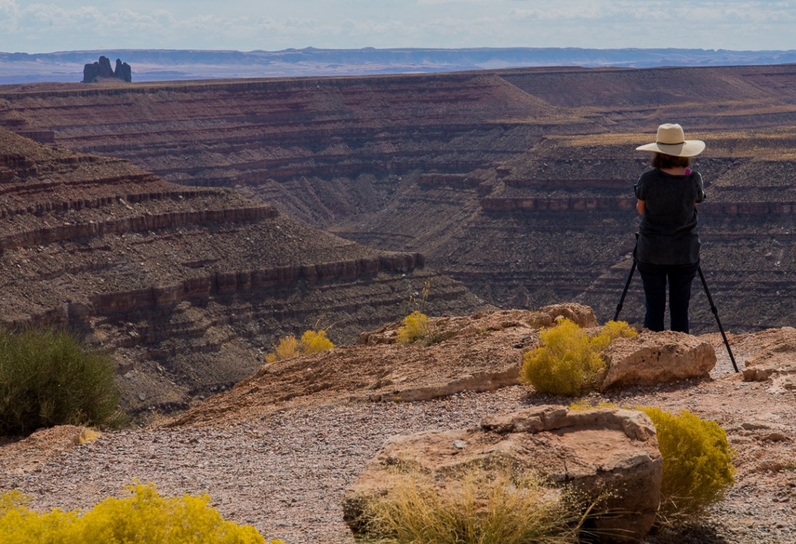 goosenecks,photog (1 of 1)