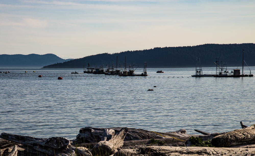 PurseSeiners (1 of 1)