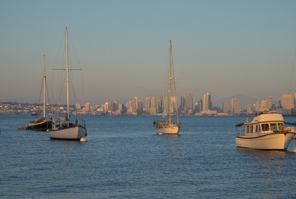 ShelterIsland (1 of 1)