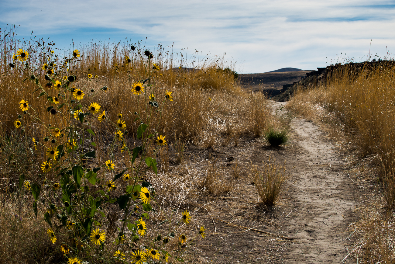PalouseFalls (1 of 2)