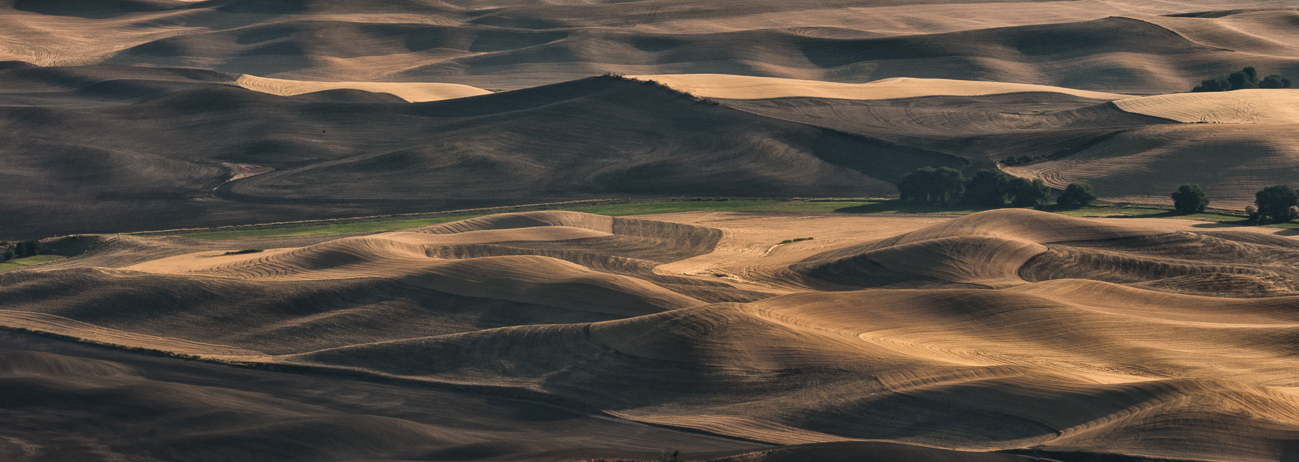 ThePalouse (9 of 14)