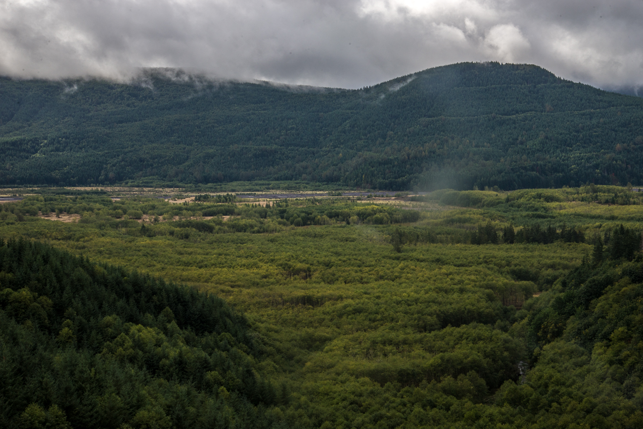Mount St. Helens (1 of 9)