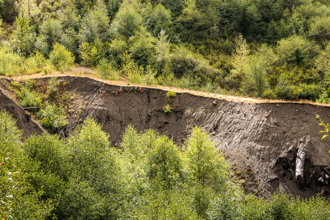 Mount St. Helens (6 of 9)